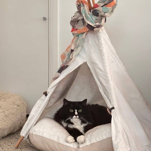 When Life Doesn’t Follow Your Launch Plan