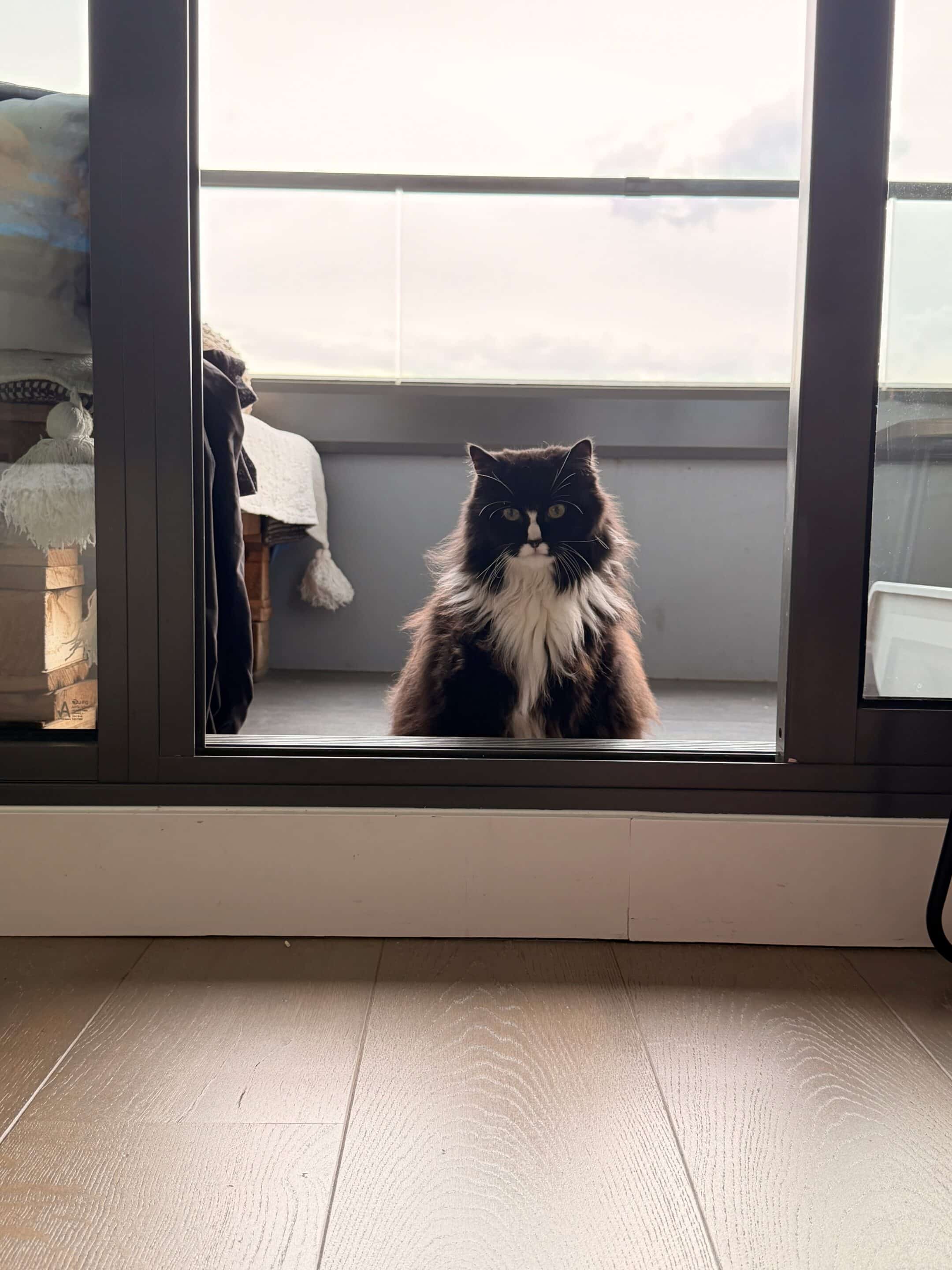 When Life Doesn’t Follow Your Launch Plan 1