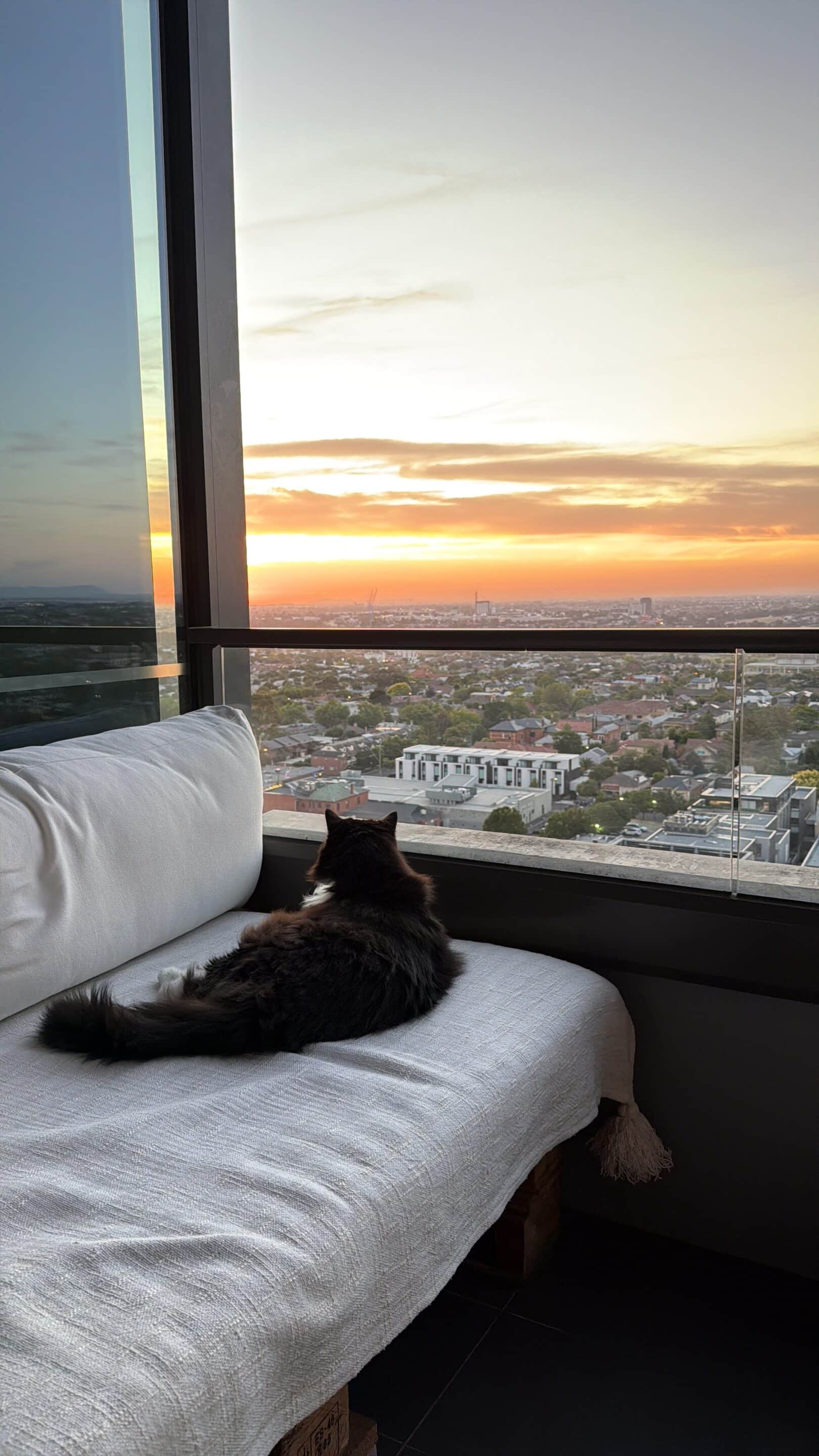 When Life Doesn’t Follow Your Launch Plan 4