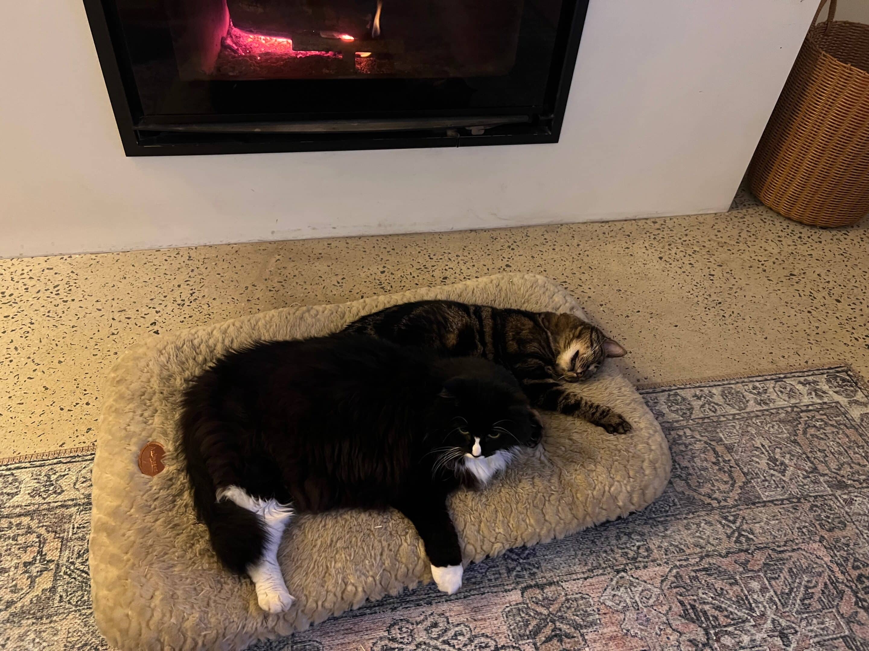 When Life Doesn’t Follow Your Launch Plan 6