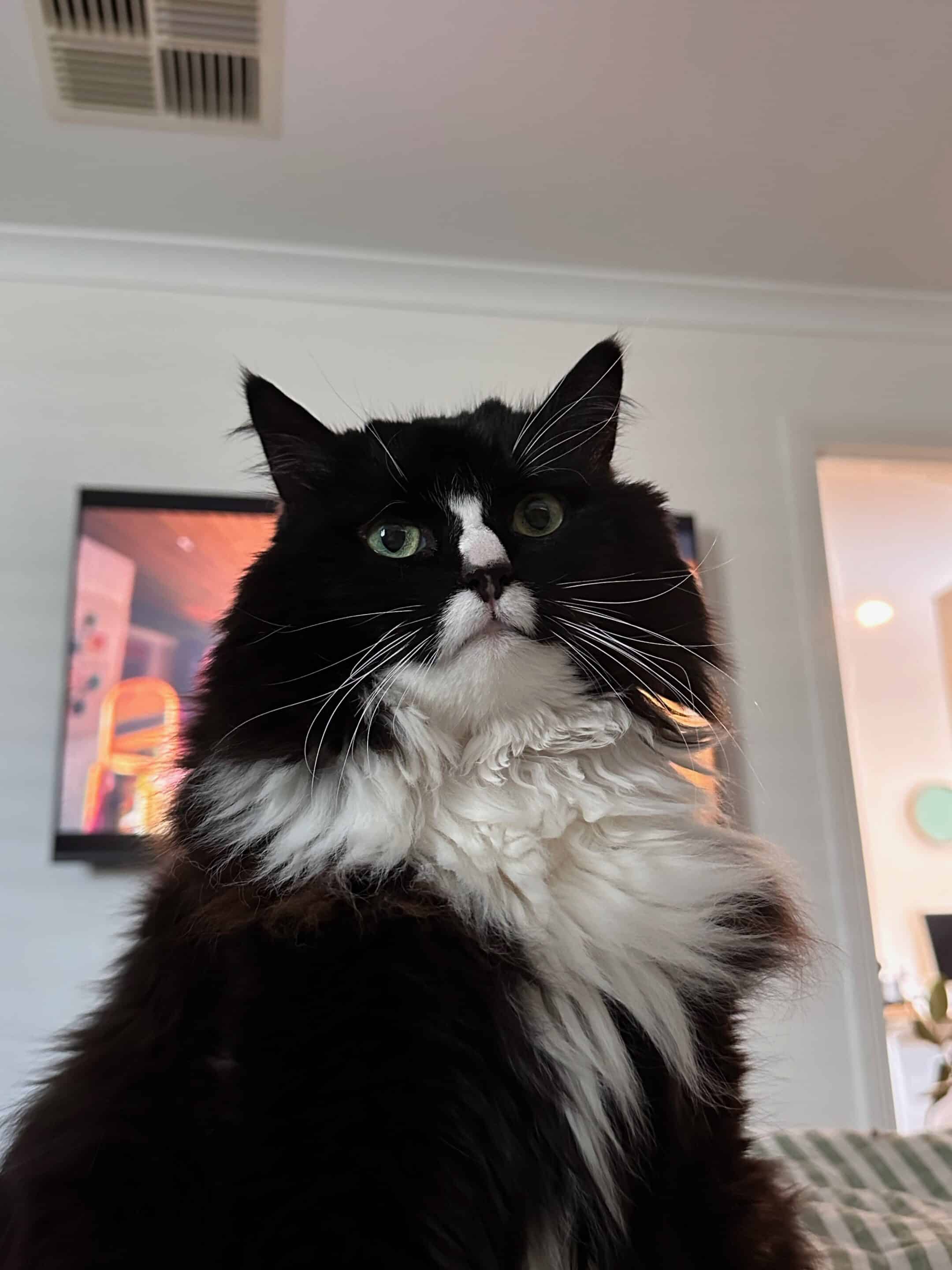 When Life Doesn’t Follow Your Launch Plan 2